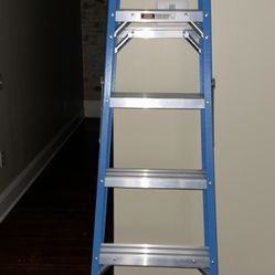 6ft Fiberglass Ladder New