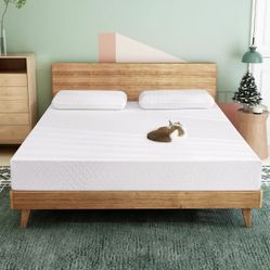 Airdown Twin Mattress, 8 Inch Memory Foam Mattress for Kids, Medium Firm Green Tea Gel Mattress, Twin Size Mattress in a Box, Low Profile for Bunk Bed