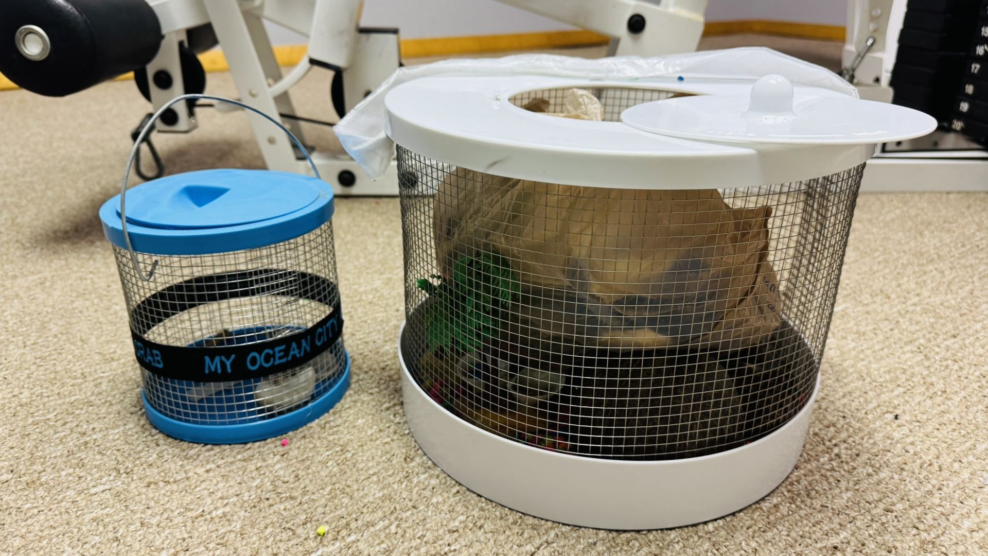 Hermit Crab cages and supplies