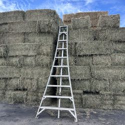 ALFALFA HAY / 3 WAY
