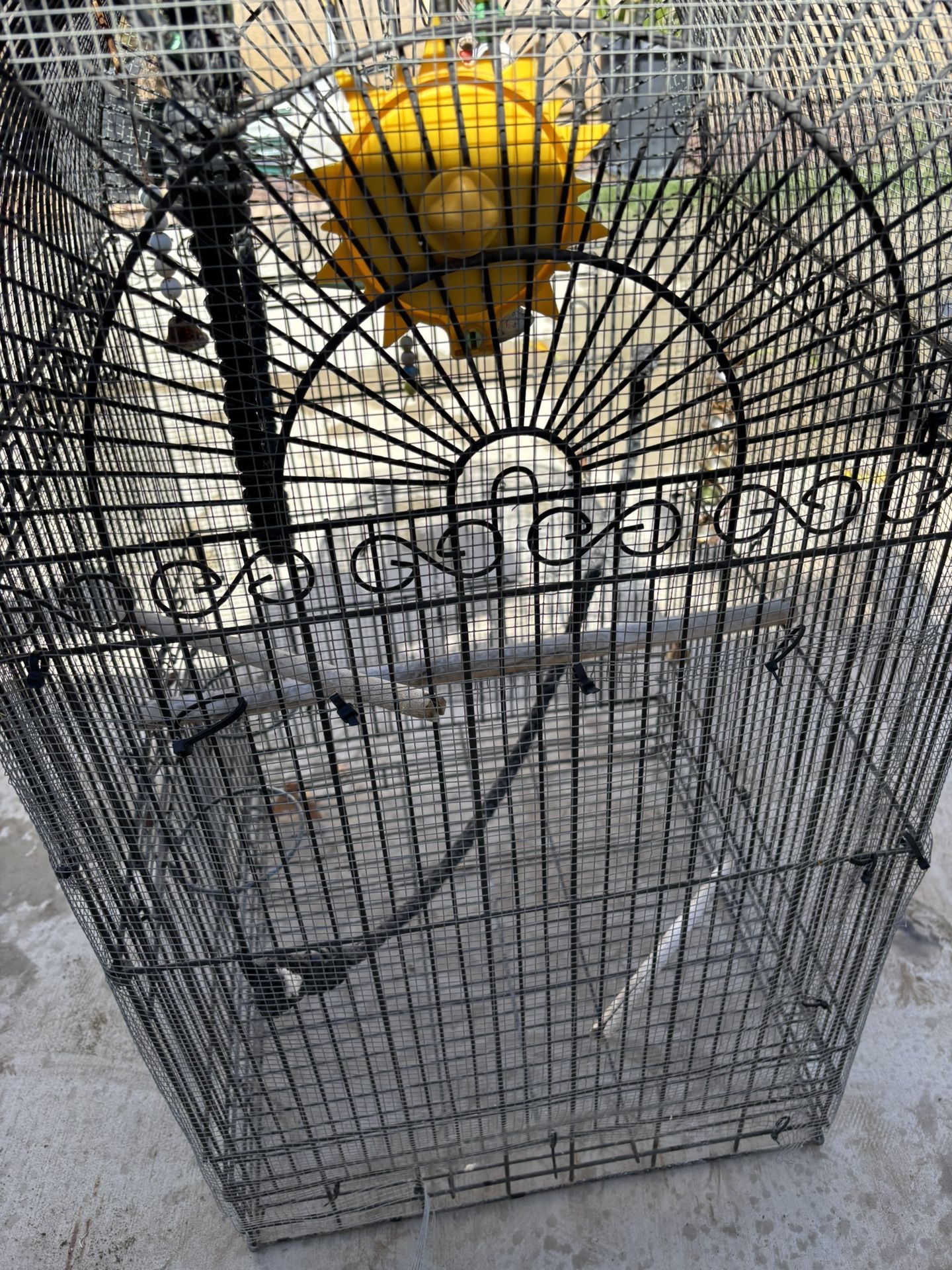 Bird Cage For Sale