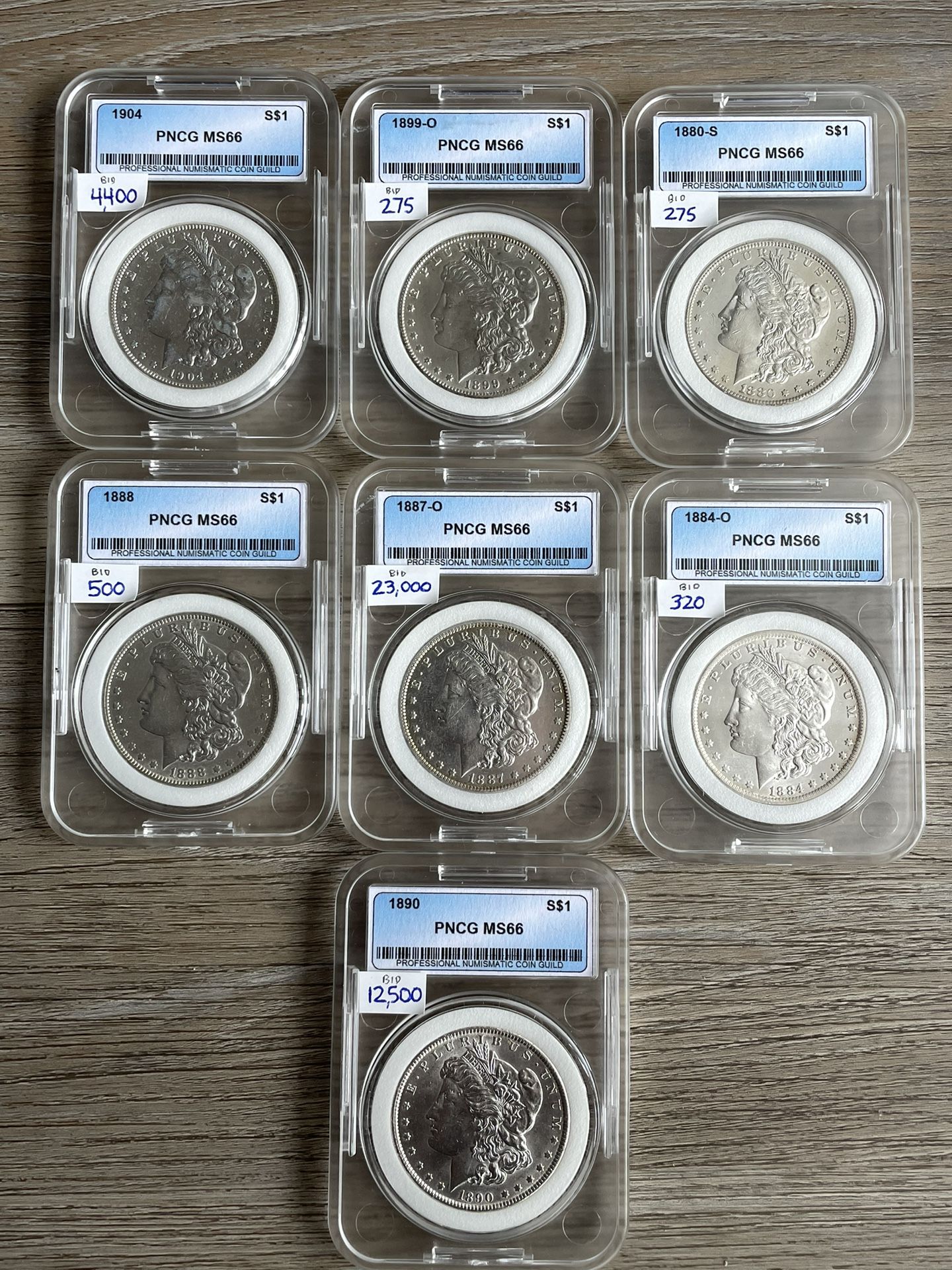 (7) MS66 Morgan Silver Dollars