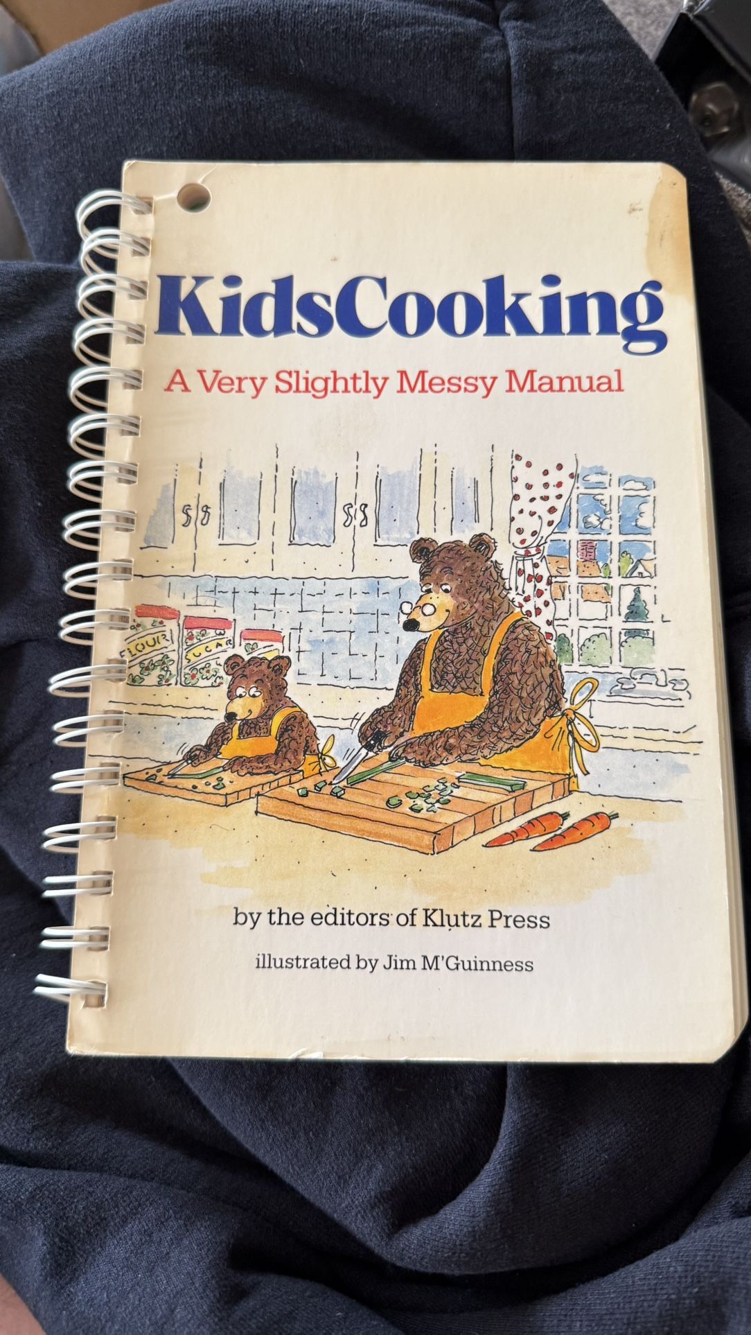 Vintage Cook Book