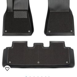 New Tesla Model Y Floor Mats with Blankets