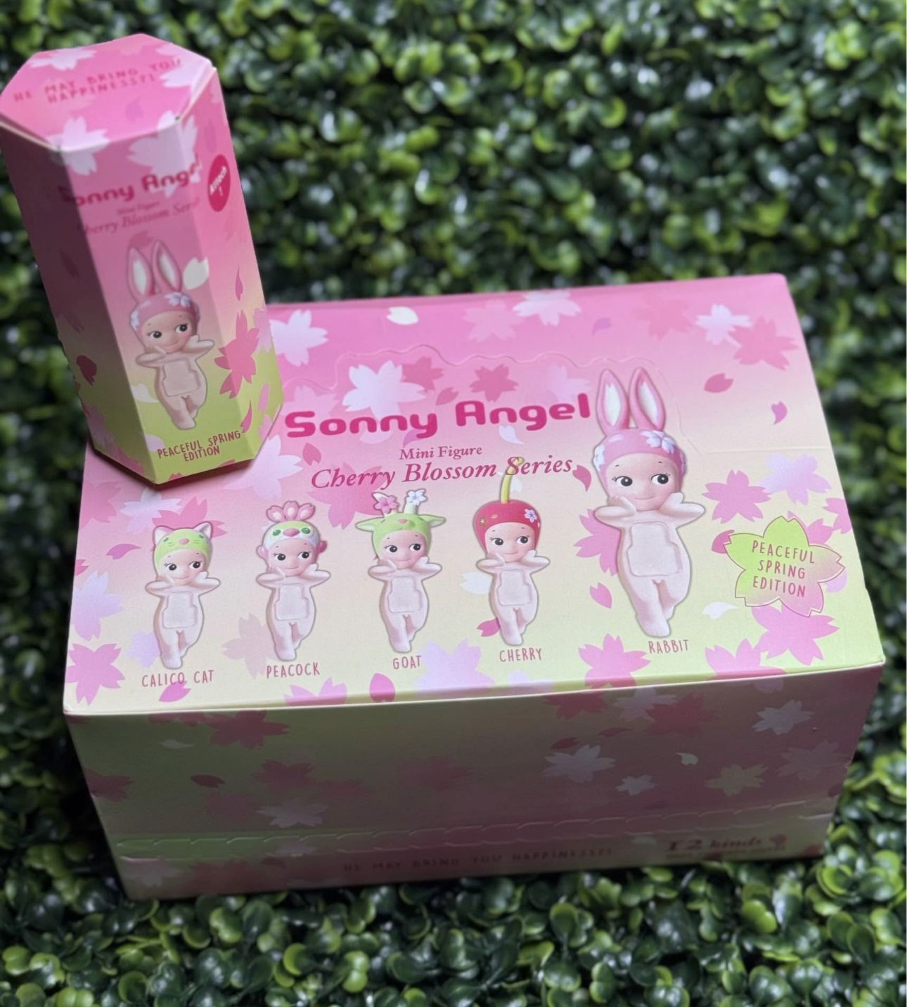 Cherry Blossom Sonny Angels