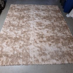 Rug 8x10