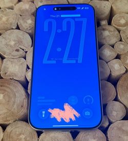 iPhone 16 pro