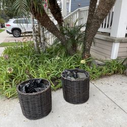 Planters Big Size 2 For The Price