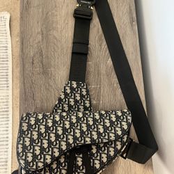 Men’s Dior Saddle Bag