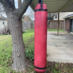 Punching and Kicking Bag-Prolast