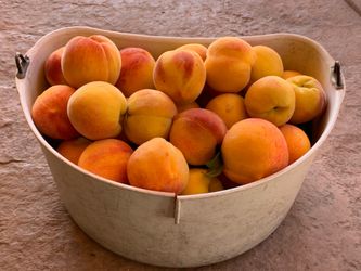 Peach durasnos🍑