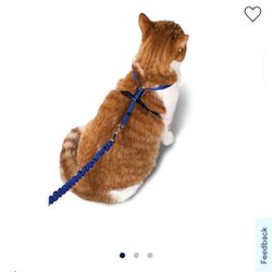 Pet Safe Come With Me Kitty Cat Harness With Bungee Leash