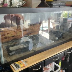 Lights And Lizard Tank 