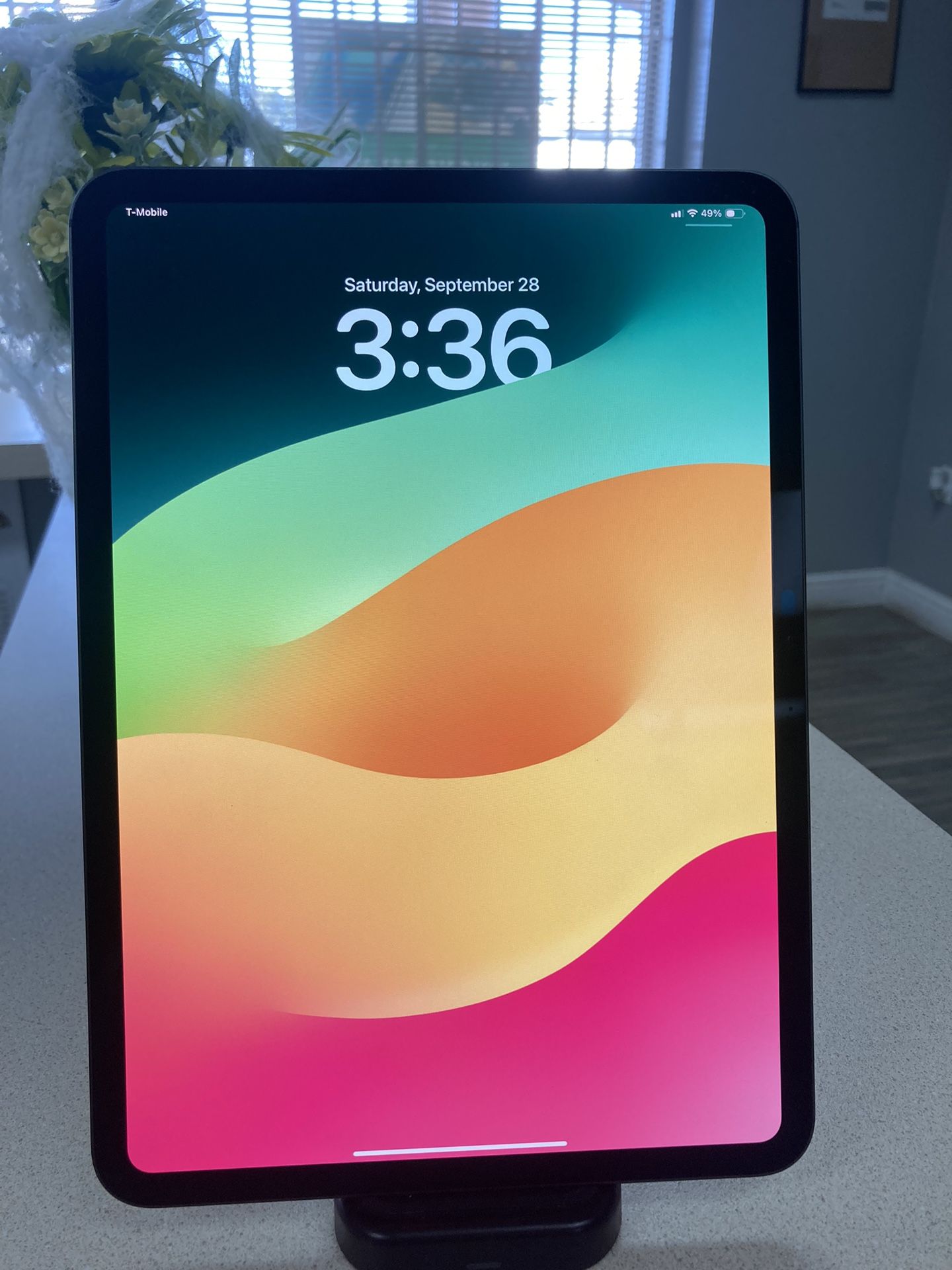 iPad 11 Pro 11 Inch M4 256 GB Cellular