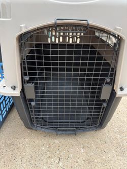 Large Hard-Sided Pet Travel Crate
