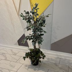 Fake Plant 