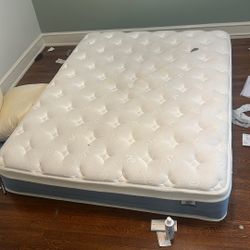 Queen Plush Orthopedic Mattress 