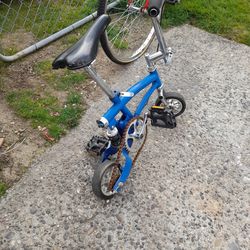 Runt mini bicycle