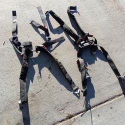 Sub Zero  RCR 4 Point harness 