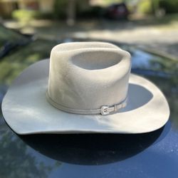 Stetson Silver Belly 6X Skyline 