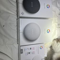Google Nest Accessories (3)