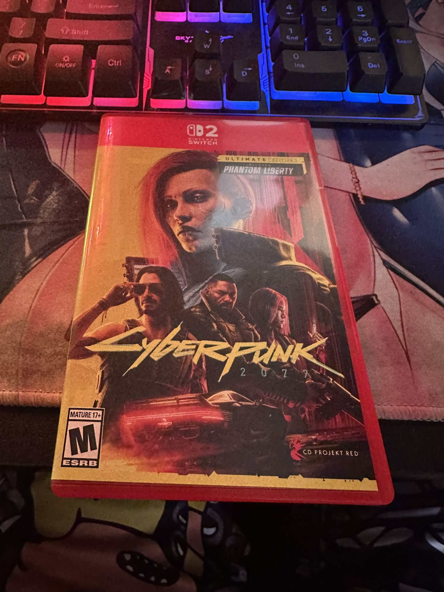 Cyberpunk Nintendo Switch