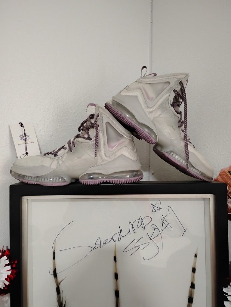 LeBron Nike Shoes 