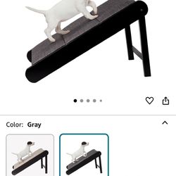 Pet Ramp