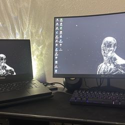 PC GAMING LAPTOP! MSI GS66 Stealth 10-SE-039 240hz rtx 2060