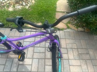 Guardian 24 inch bike