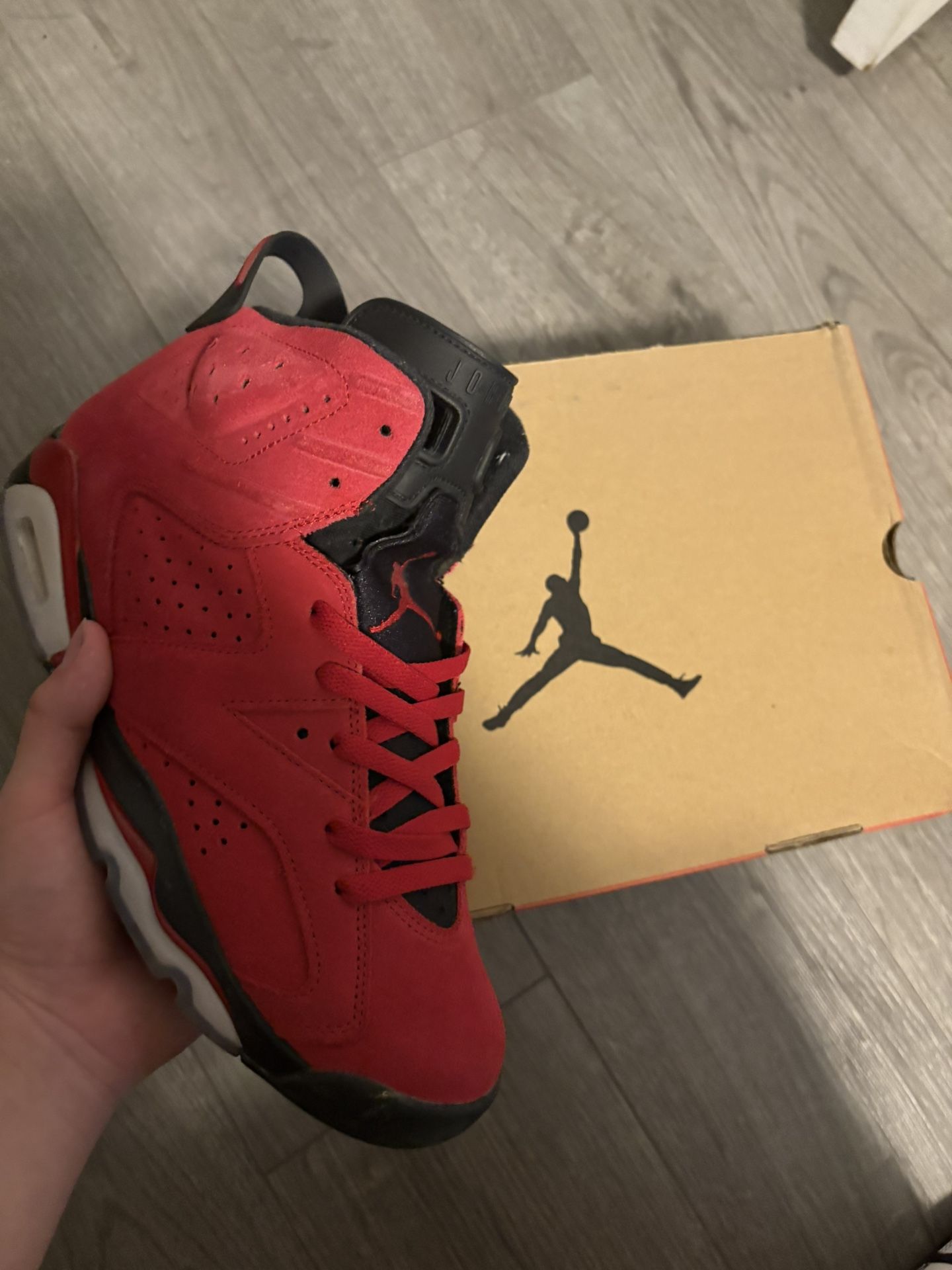 Toro 6s