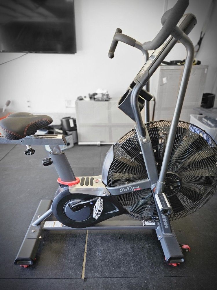 Schwinn Airdyne Pro AirdyneX Air Bike Rogue Echo Schwinn Air Dyne Airdyne
