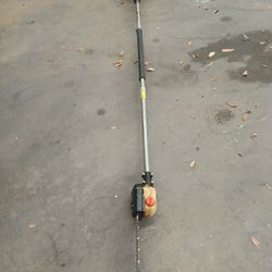 Echo 12-in Pole Saw