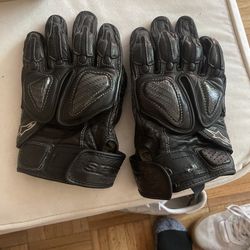 Large Alpine Race Gloves