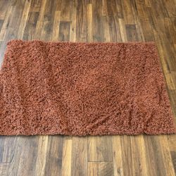 Solo Shag Rug Terracotta Burnt Orange Area Rug 3x5
