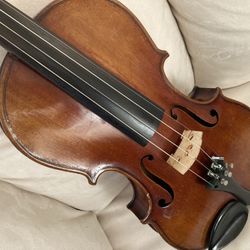 Violin