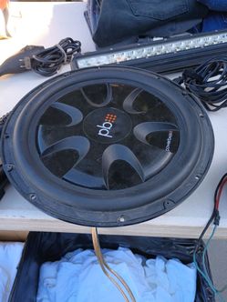 12"dual voice coil woofer