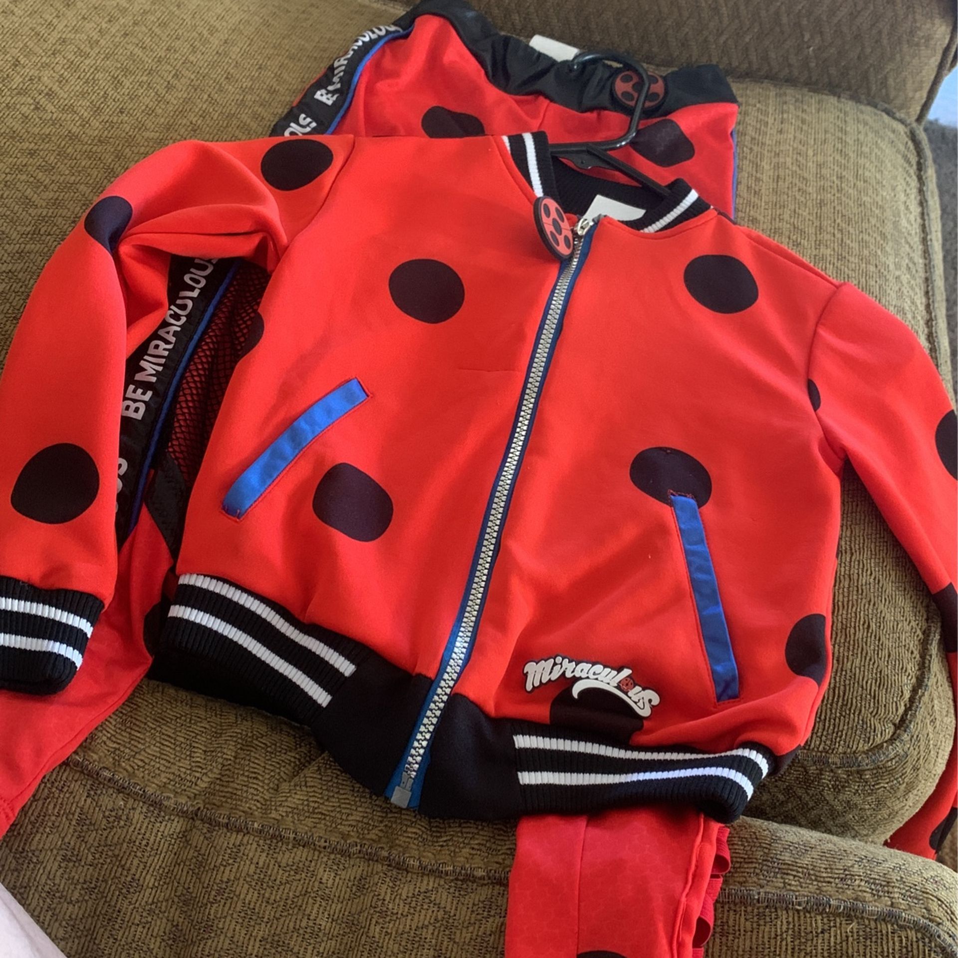Costume Ladybug
