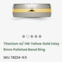 Men's Gold & Titanium Wedding Band