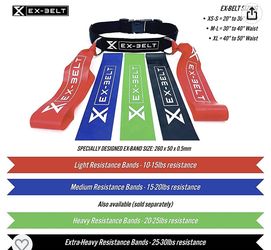 Exercise belt