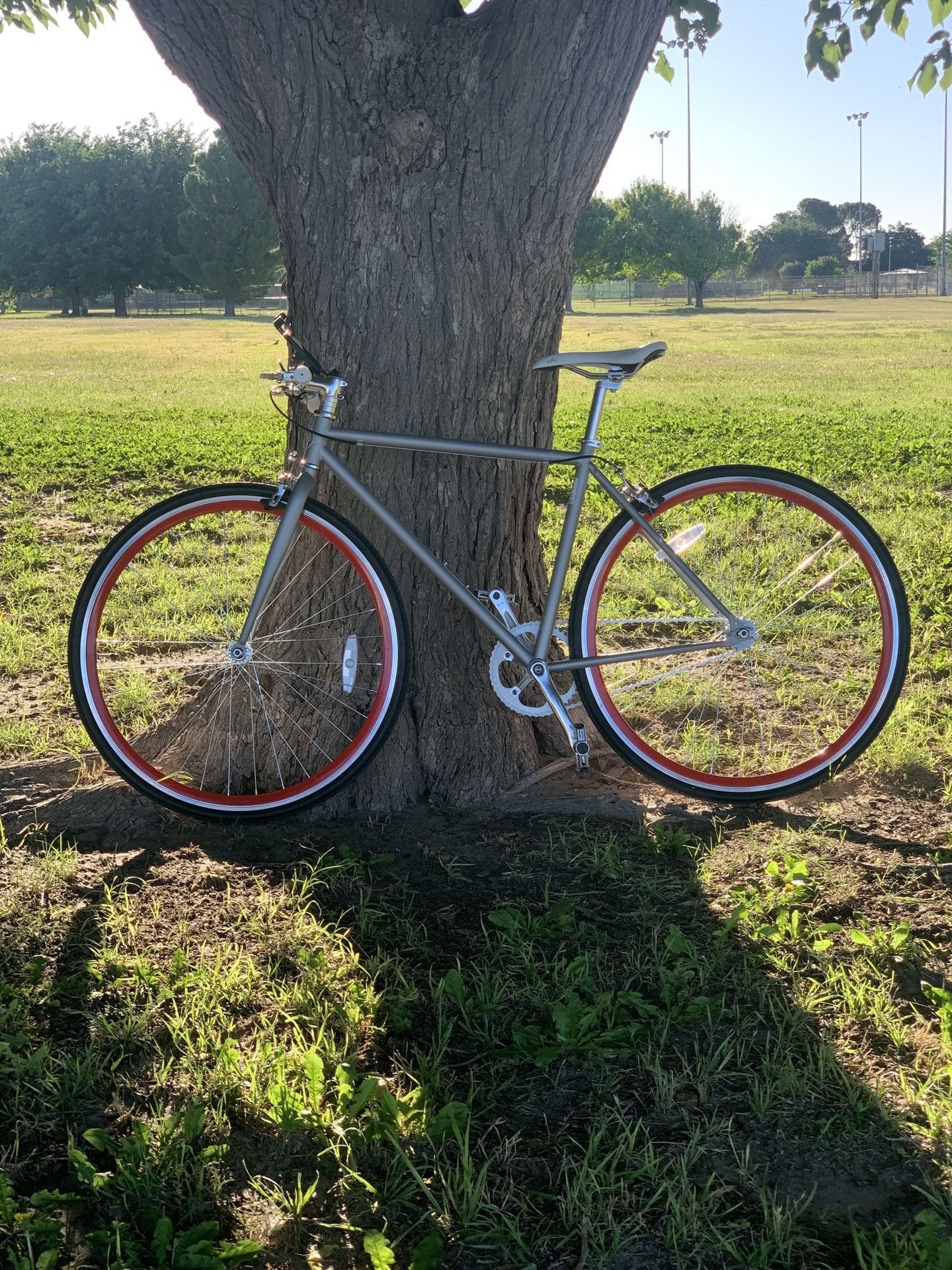 Fixie/Single gear Bicycle 