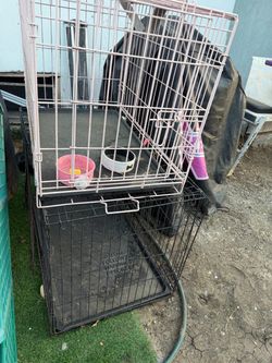 Dog cages 25 each