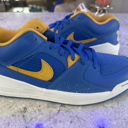 UCLA Nike Shoes 