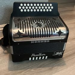 Panther Acordion