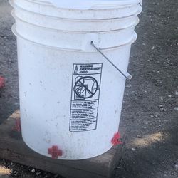Chicken Water Bucket Waterer Drinker