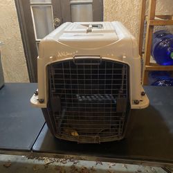 Dog Kennel