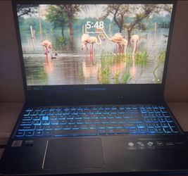 Acer predator