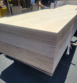4' x 8' 3/4" Unfinished Birch