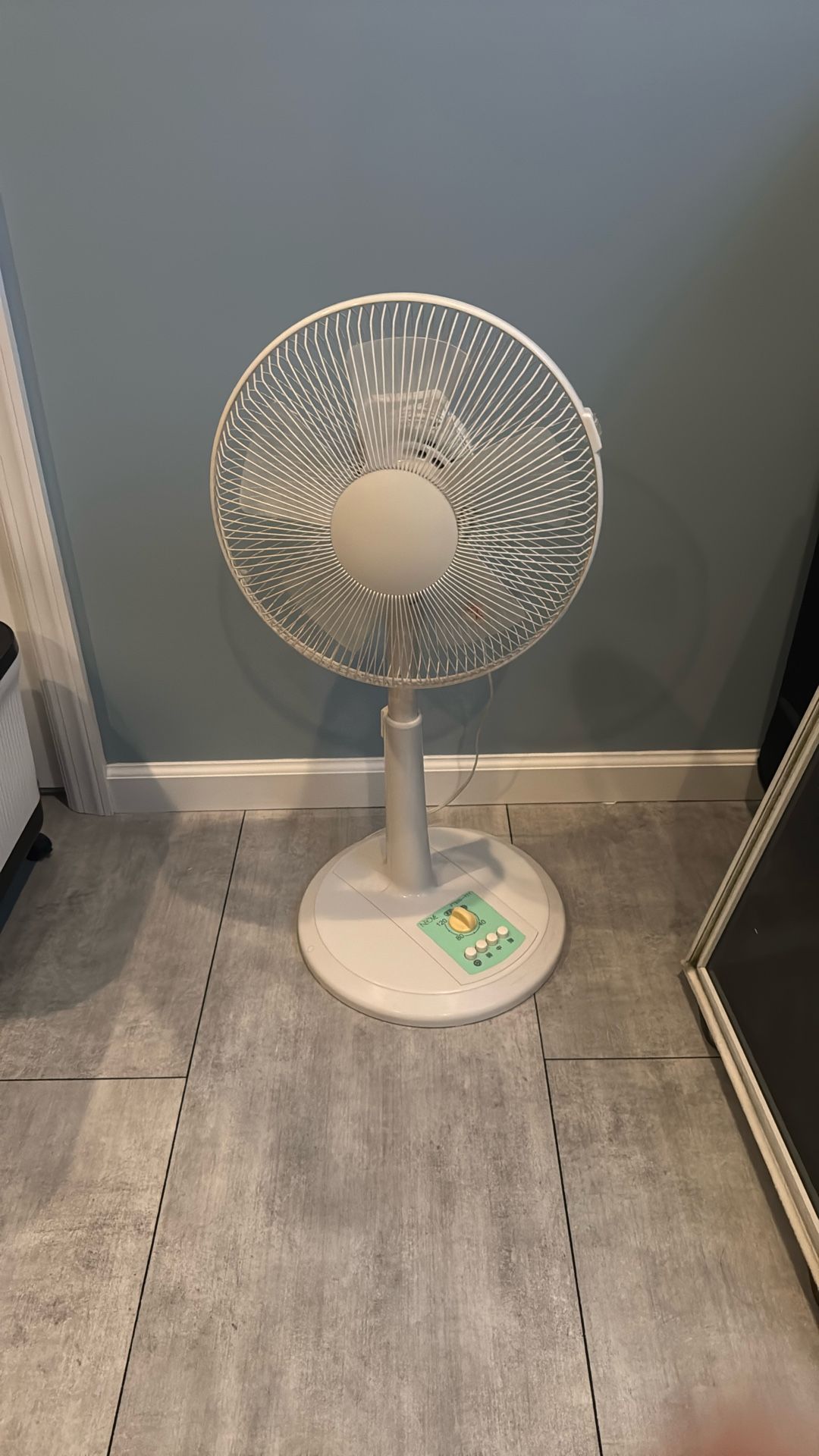 Pedestal Fan