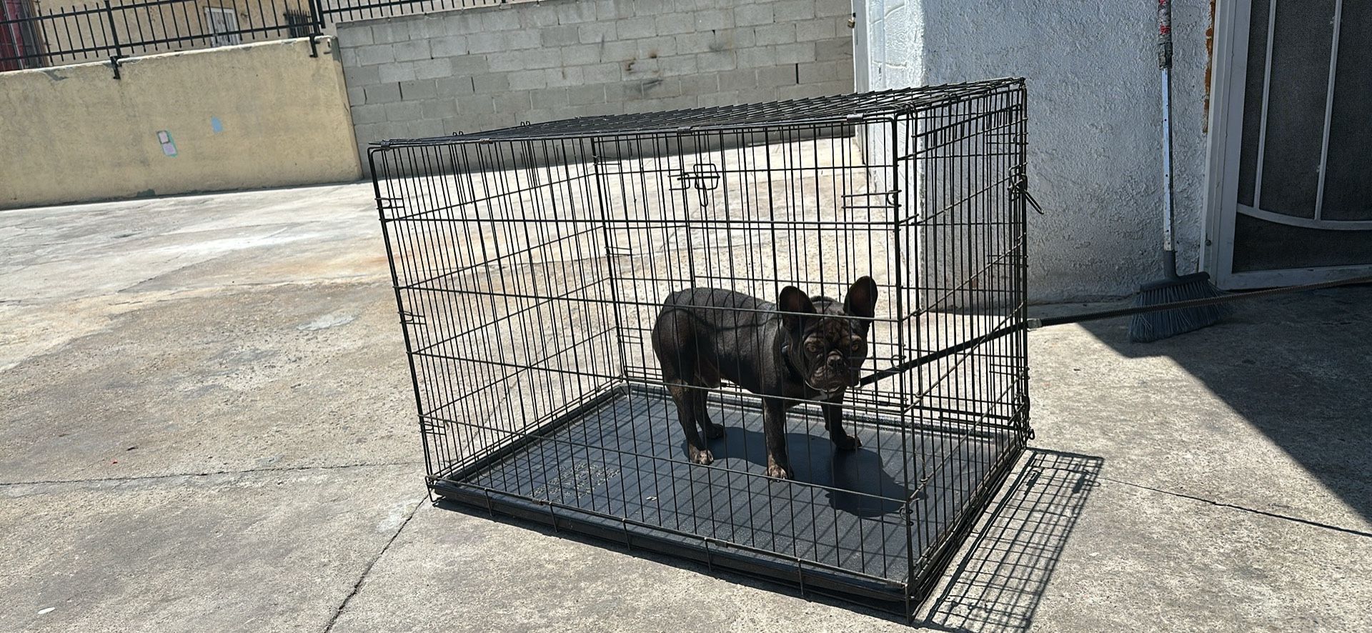 Dog Kennel, Large Not New Used But Good